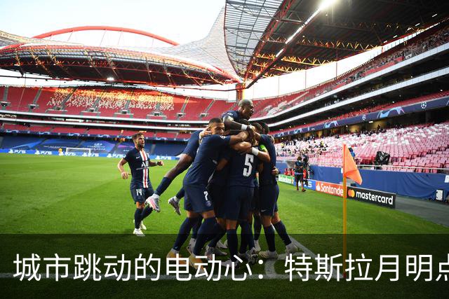 城市跳动的电动心：特斯拉月明点亮哪些人？